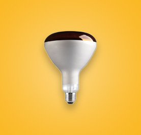 Infrared Lamps